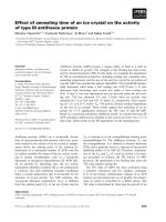 Báo cáo khoa học: Effect of annealing time of an ice crystal on the activity of type III antifreeze protein pdf