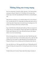 Những bóng ma trong mạng pot