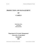PRODUCTION AND MANAGEMENT OF CAMELS ppt
