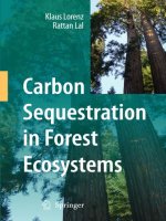Carbon Sequestration in Forest Ecosystems pot