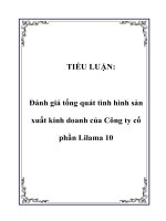 đánh giá tổng quát tình hình sản xuất kinh doanh của công ty cổ phần lilama 10