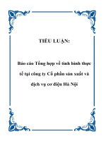 TIỂU LUẬN: Báo cáo Tổng hợp về tình hình thực tế tại công ty Cổ phần sản xuất và dịch vụ cơ điện Hà Nội doc