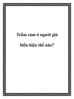 Trầm cảm ở người già biểu hiện thế nào? pptx