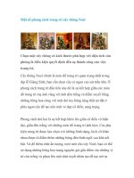 Một số phong cách trang trí cây thông Noel docx