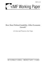 How Does Political Instability Affect Economic Growth? pptx