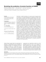 Báo cáo khoa học: Revisiting the prediction of protein function at CASP6 potx