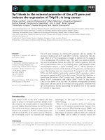 Báo cáo khoa học: Sp1 binds to the external promoter of the p73 gene and induces the expression of TAp73c in lung cancer doc