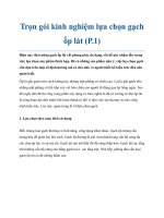 Trọn gói kinh nghiệm lựa chọn gạch ốp lát (P.1) pdf