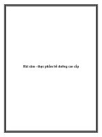 Hải sâm - thực phẩm bổ dưỡng cao cấp pot