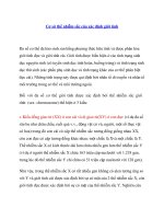 Cơ sở thể nhiễm sắc của xác định giới tính docx