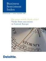 Do great minds think alike? Views from executives in Central Europe pot