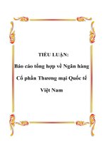 TIỂU LUẬN: Báo cáo tổng hợp về Ngân hàng Cổ phần Thương mại Quốc tế Việt Nam ppt