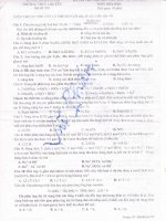 Đề thi thử đại học cao đẳng năm 2011 môn hóa học - THPT ĐHSP Hà Nội docx