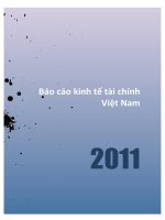 báo cáo kinh tế tài chính việt nam 2011