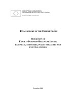 OVERVIEW OF FAMILY–BUSINESS–RELEVANT ISSUES: RESEARCH, NETWORKS, POLICY MEASURES AND EXISTING STUDIES pdf