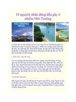 10 nguyên nhân đứng đầu gây ô nhiễm Môi Trường pot