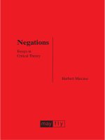 Negations - Essays in Critical Theory pptx