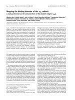 Báo cáo khoa học: Mapping the binding domains of the aIIb subunit A study performed on the activated form of the platelet integrin aIIbb3 pot
