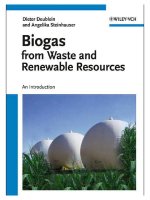 Biogas from waste and renewable resources
