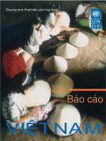 Báo cáo Việt Nam 2004 UNDP ppt