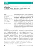 Báo cáo khoa học: Regulation of matrix metalloproteinase activity in health and disease pdf