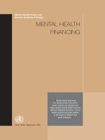Mental Health Policy and Service Guidance Package: MENTAL HEALTH FINANCING docx
