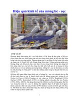 Hiệu quả kinh tế của móng bè - cọc docx