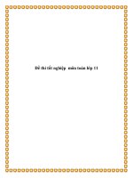 Đề thi tốt nghiệp môn toán lớp 11 docx