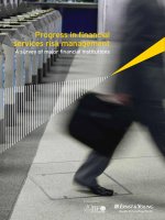 PROGRESS IN FINANCIAL SERVICES RISK MANAGEMENT: A SURVEY OF MAJOR FINANCIAL INSTITUTIONS pdf