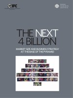 THE NEXT 4 BILLION MARKET SIZE AND BUSINESS STRATEGY AT THE BASE OF THE PYRAMID ppt