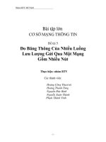 Tiểu luận:Đo Băng Thông Của Nhiều Luồng Lưu Lượng Gửi Qua Một Mạng Gồm Nhiều Nút docx