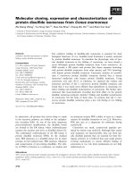 Báo cáo khoa học: Molecular cloning, expression and characterization of protein disulﬁde isomerase from Conus marmoreus pdf