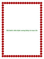 Bài thuốc chữa bệnh xương khớp từ rượu rắn ppt