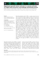 Báo cáo khoa học: Hepatocyte growth factor activator is a serum activator of single-chain precursor macrophage-stimulating protein potx