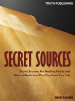 Secret Sources ppt