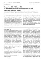 Báo cáo Y học: Beyond the ABCs of CKC and SCC Do centromeres orchestrate sister chromatid cohesion or vice versa? potx