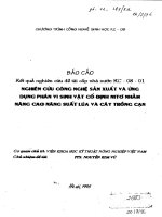 Kết quả nghiên cứu đề tài cấp nhà nước: Nghiên cứu công nghệ sản xuất và ứng dụng phân vi sinh vật cố định nito nhằm nâng cao năng xuất lúa và cây trồng cạn pdf