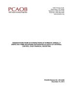 OBSERVATIONS FROM 2010 INSPECTIONS OF DOMESTIC ANNUALLY INSPECTED FIRMS REGARDING DEFICIENCIES IN AUDITS OF INTERNAL CONTROL OVER FINANCIAL REPORTING pptx
