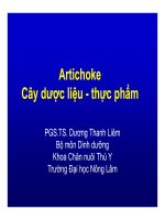 Artichoke Cây dược liệu - thực phẩm - PGS.TS. Dương Thanh Liêm docx