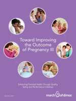 Toward Improving the Outcome of Pregnancy III pot