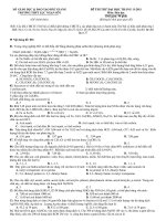 ĐỀ THI THỬ ĐẠI HỌC NĂM HỌC 2011 - Môn thi: Hoá học - THPT Lục Ngạn pdf
