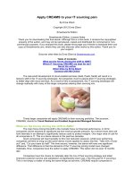 Apply CREAMS to your IT sourcing pain pdf