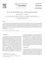 Novel 2d self assembled arrays of siox nanowire bundles