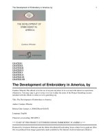 The Development of Embroidery in America ppt