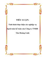 TIỂU LUẬN: Tình hình thực hiện các nghiệp vụ hạch toán kế toán của Công ty TNHH Tân Hoàng Linh potx