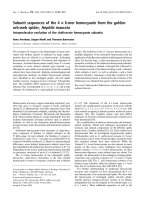 Báo cáo khoa học: Subunit sequences of the 4 · 6-mer hemocyanin from the golden orb-web spider, Nephila inaurata Intramolecular evolution of the chelicerate hemocyanin subunits pot