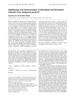 Báo cáo Y học: Identification and characterization of thioredoxin and thioredoxin reductase fromAeropyrum pernixK1 pdf