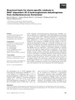 Báo cáo khoa học: Structural basis for stereo-speciﬁc catalysis in NAD+-dependent (R )-2-hydroxyglutarate dehydrogenase from Acidaminococcus fermentans pptx