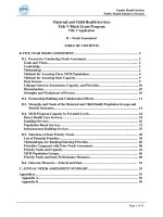 Maternal and Child Health Services Title V Block Grant Program doc