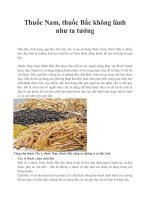 Thuốc Nam, thuốc Bắc không lành như ta tưởng pot